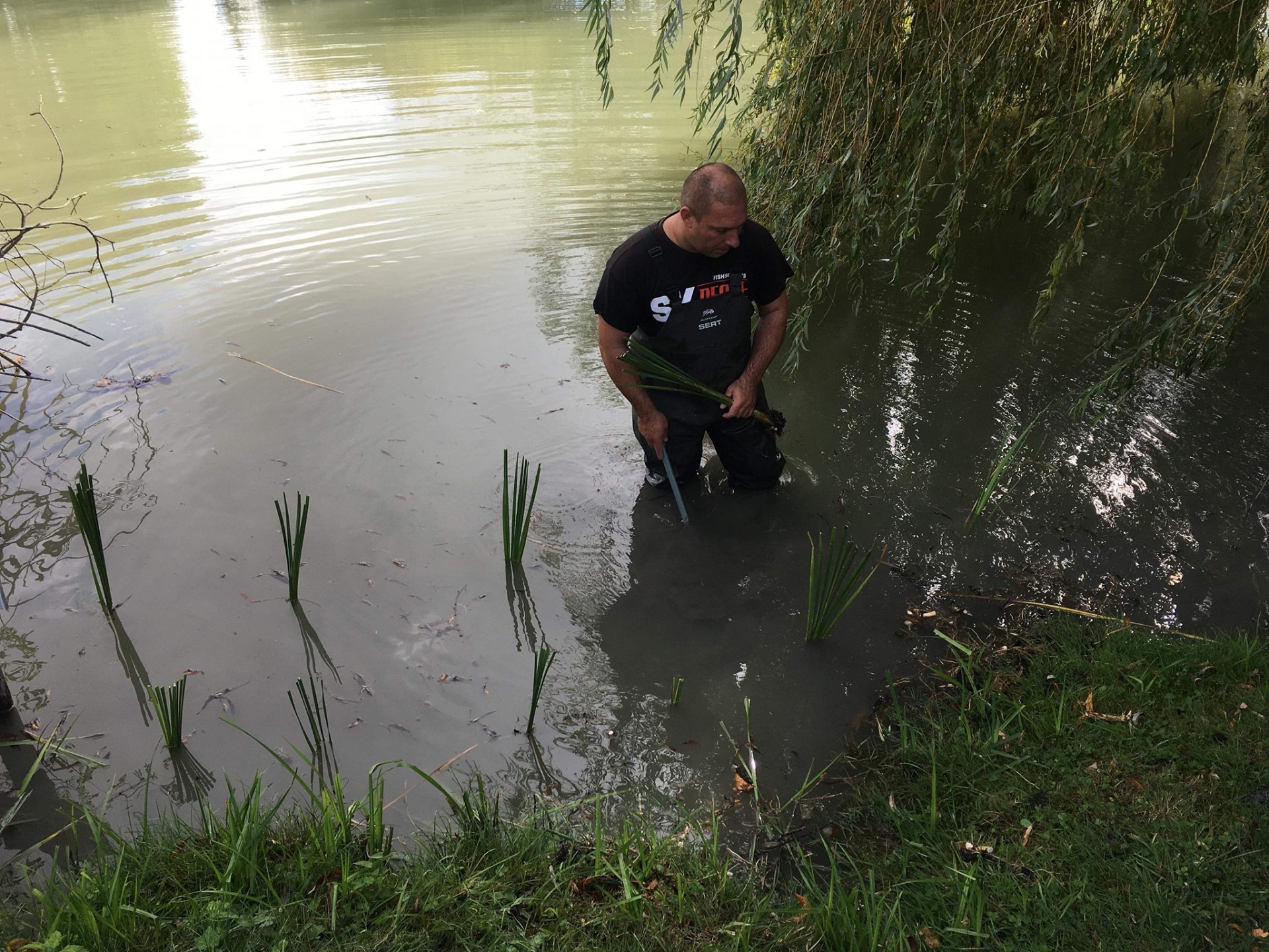 Les Amis Pêcheurs De Luzé