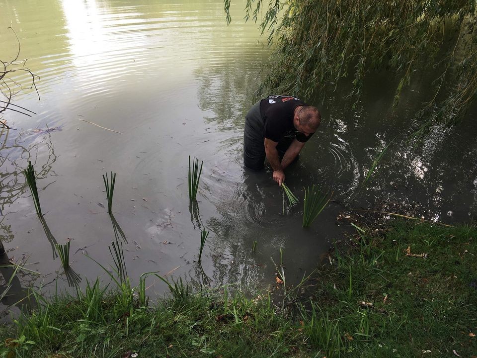 Les Amis Pêcheurs De Luzé