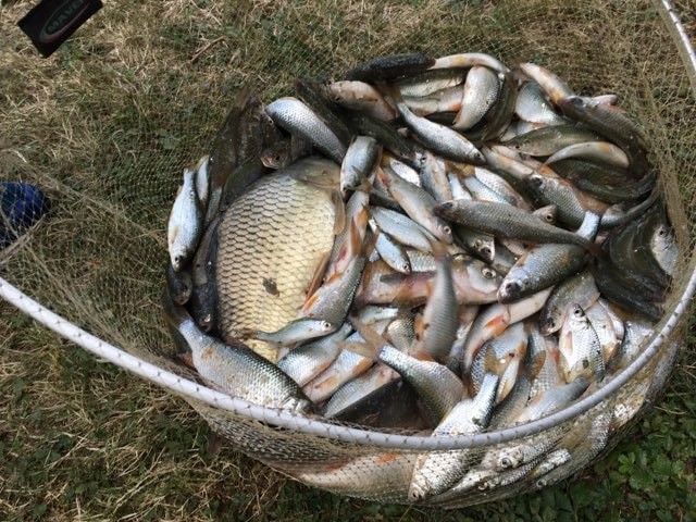 Les Amis Pêcheurs De Luzé