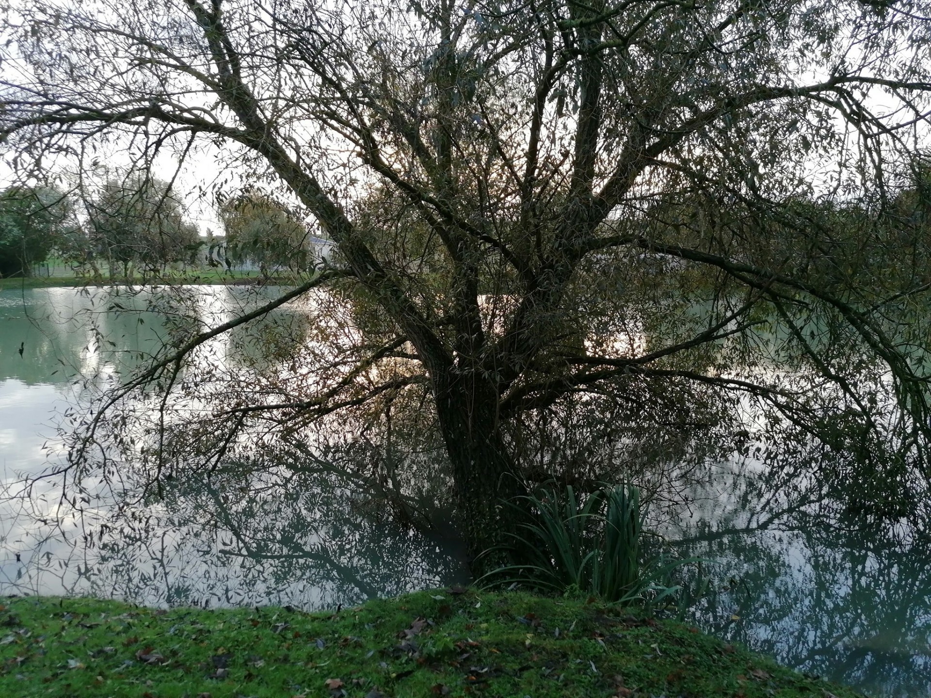 Les Amis Pêcheurs De Luzé