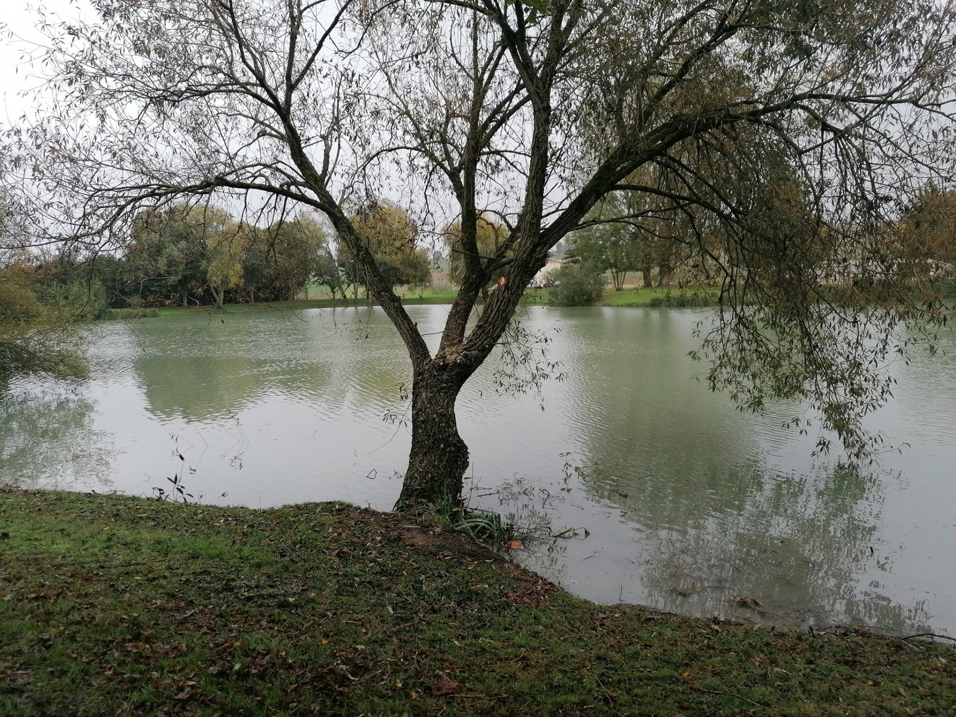 Les Amis Pêcheurs De Luzé