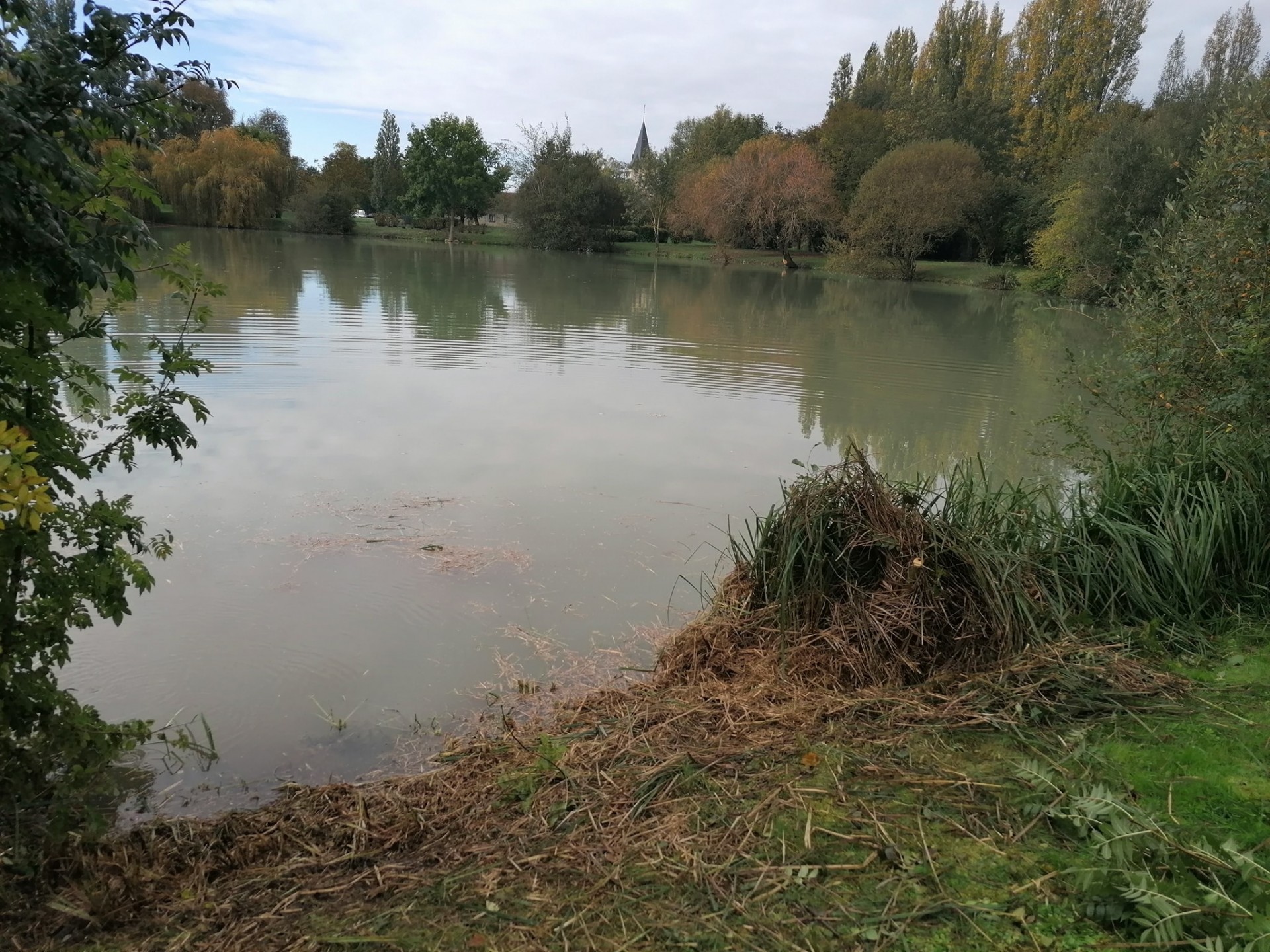 Les Amis Pêcheurs De Luzé