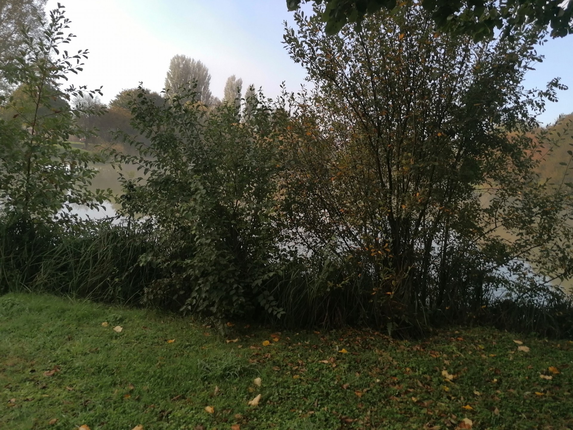 Les Amis Pêcheurs De Luzé