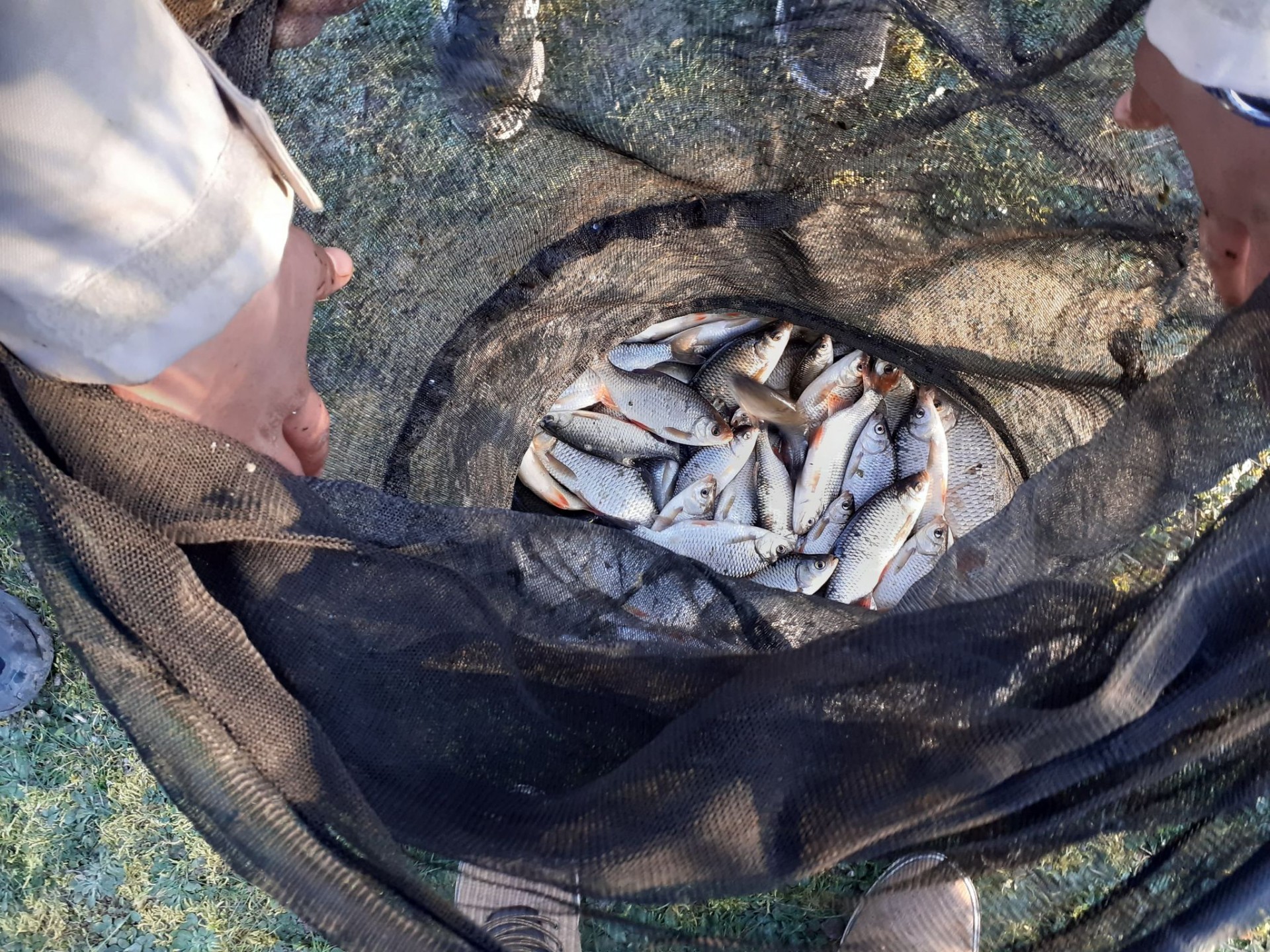 Les Amis Pêcheurs De Luzé