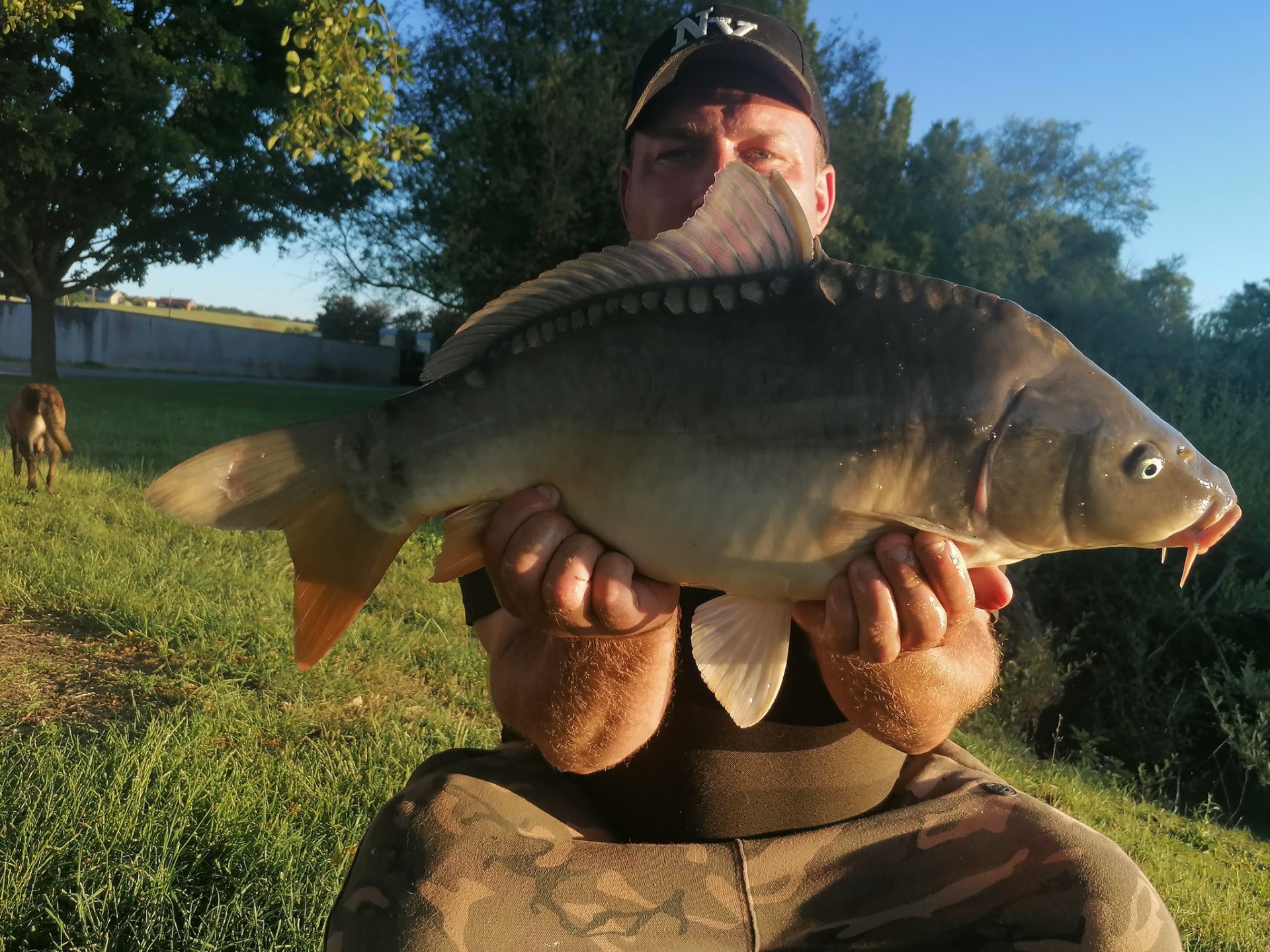 Les Amis Pêcheurs De Luzé