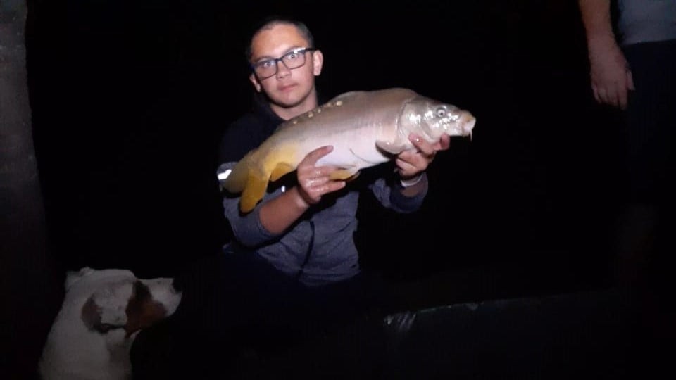 Les Amis Pêcheurs De Luzé