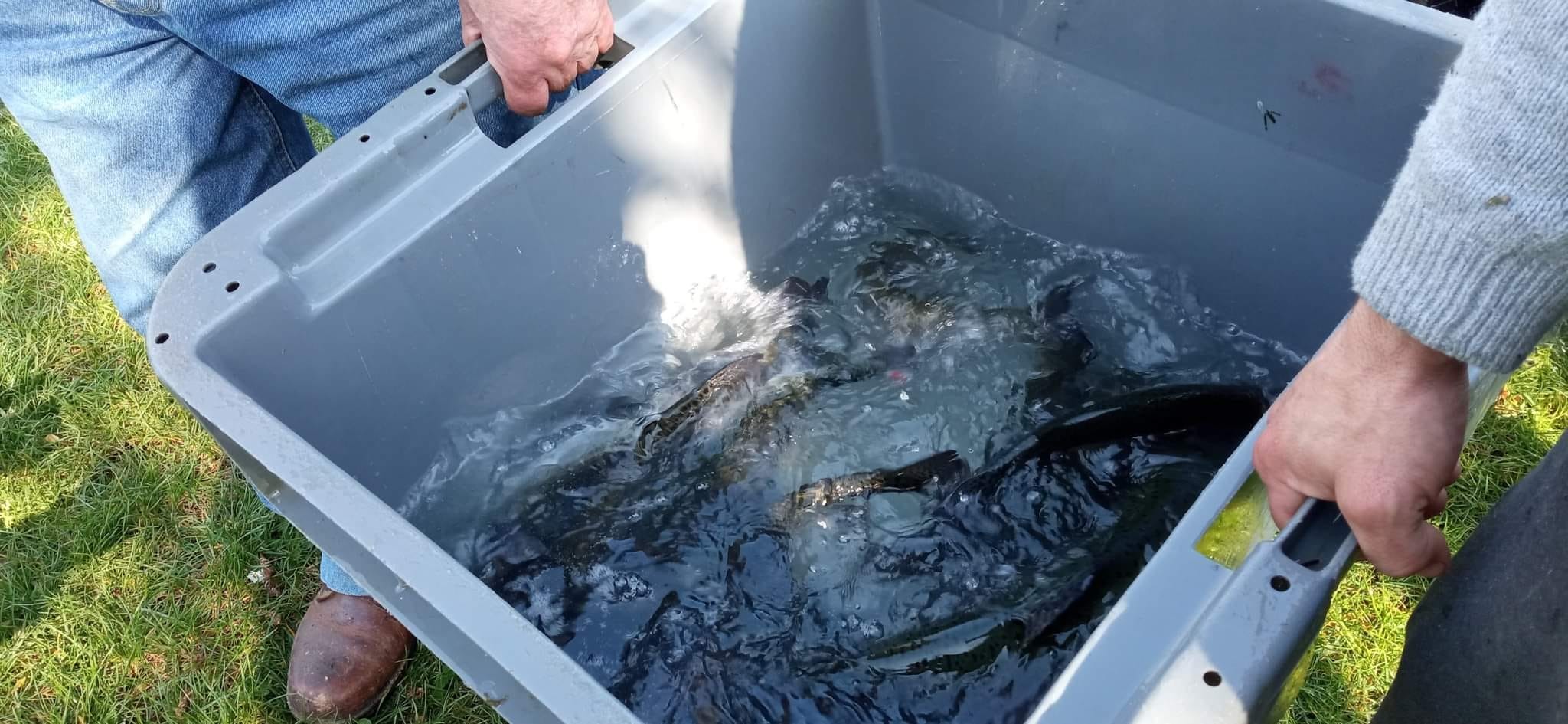 Les Amis Pêcheurs De Luzé