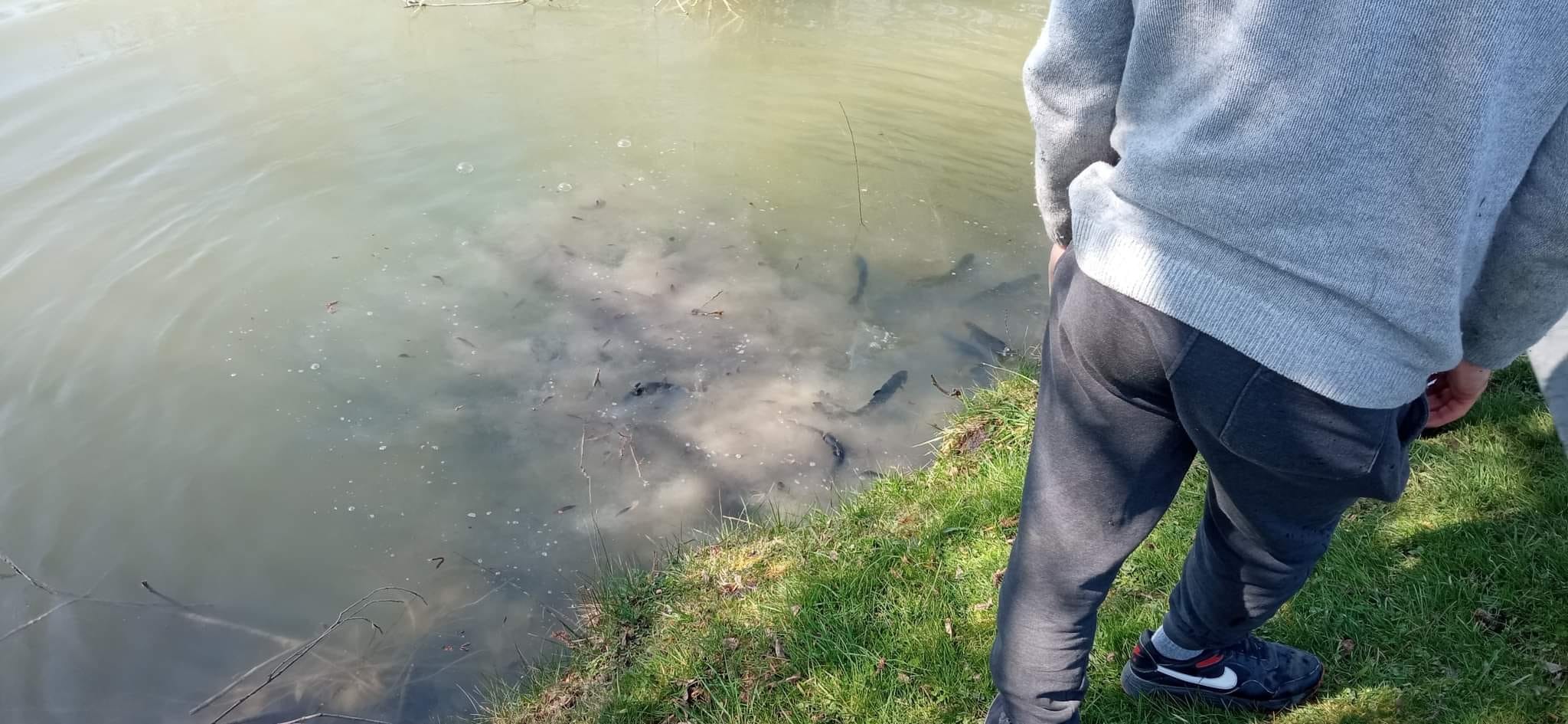 Les Amis Pêcheurs De Luzé