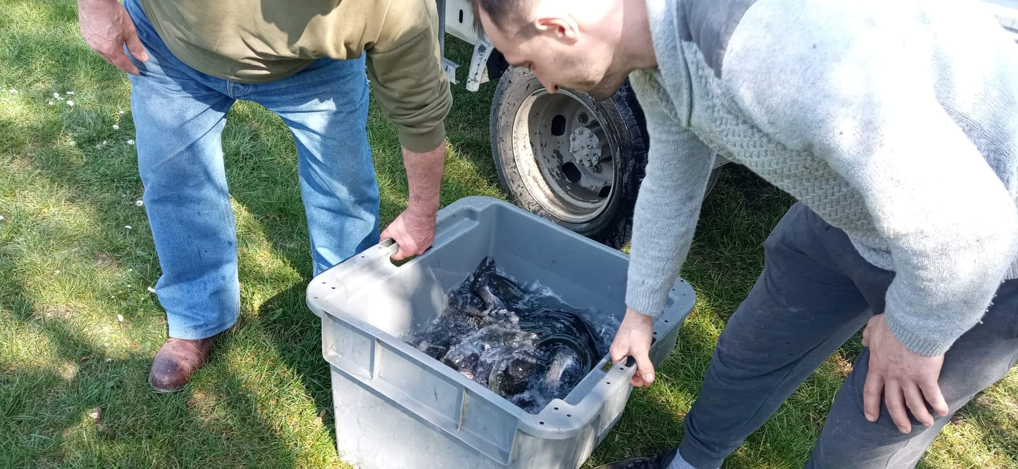Les Amis Pêcheurs De Luzé
