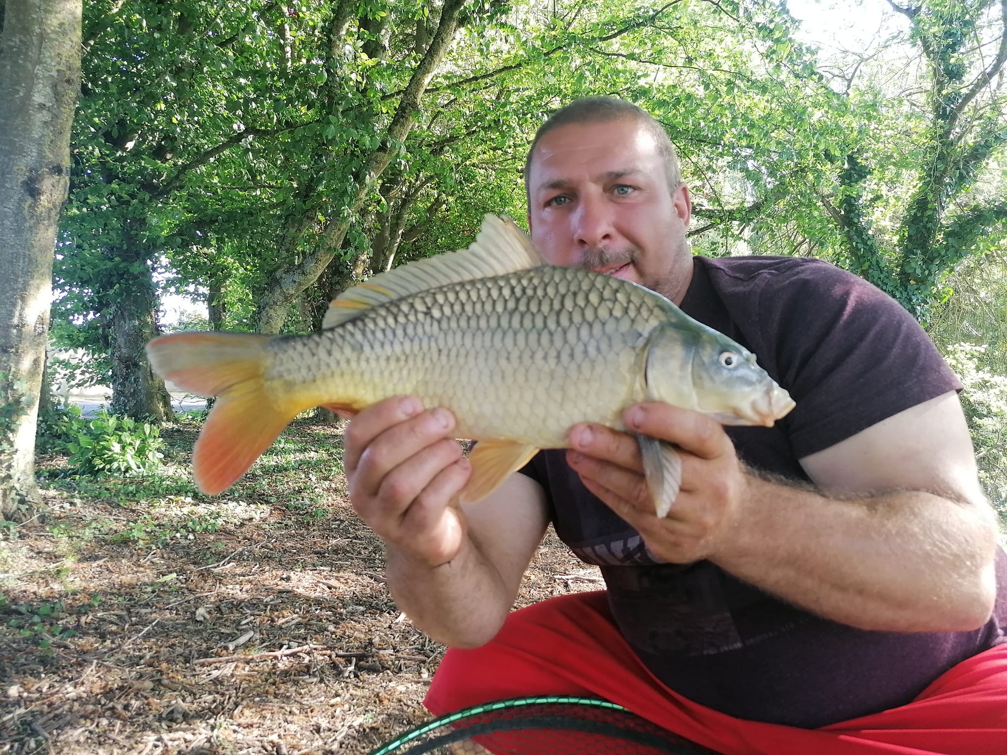 Les Amis Pêcheurs De Luzé
