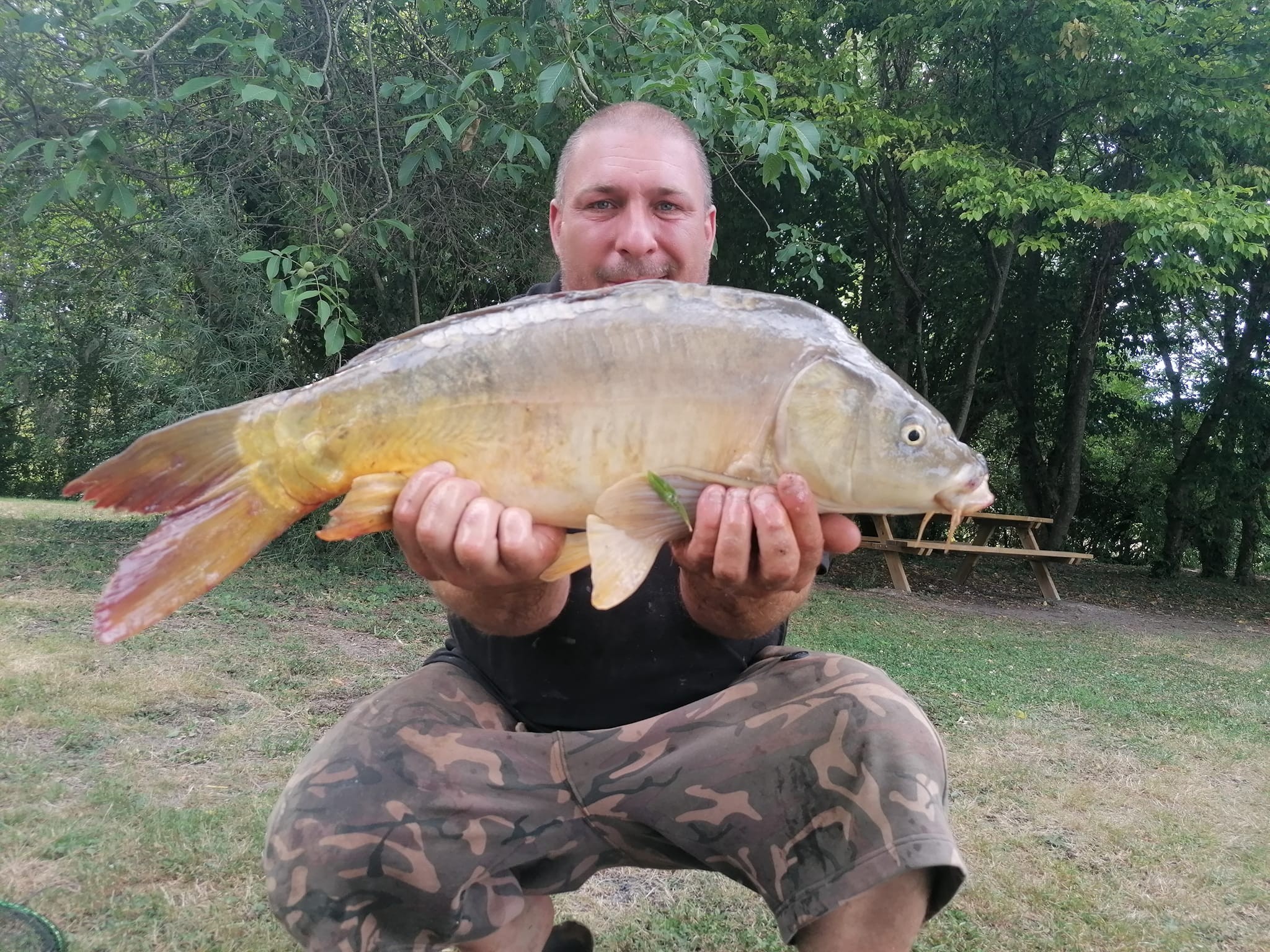 Les Amis Pêcheurs De Luzé