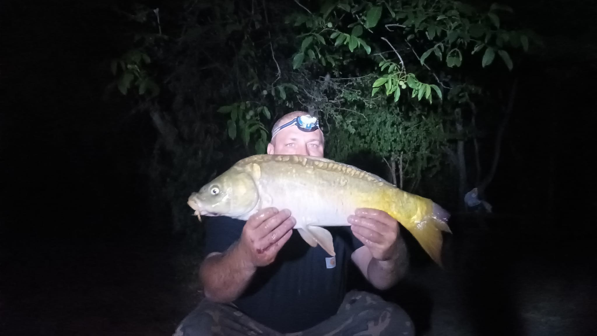 Les Amis Pêcheurs De Luzé
