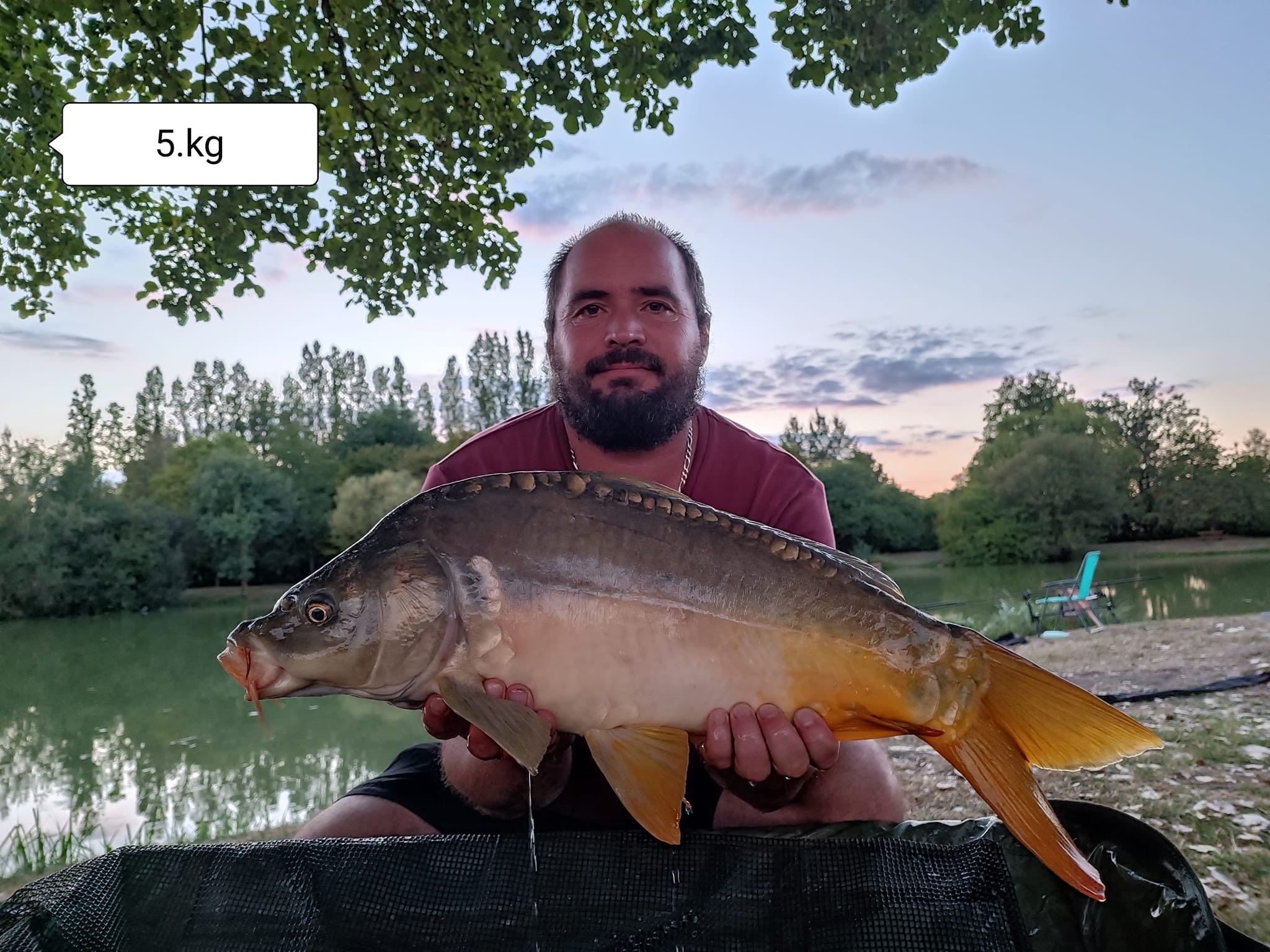 Les Amis Pêcheurs De Luzé