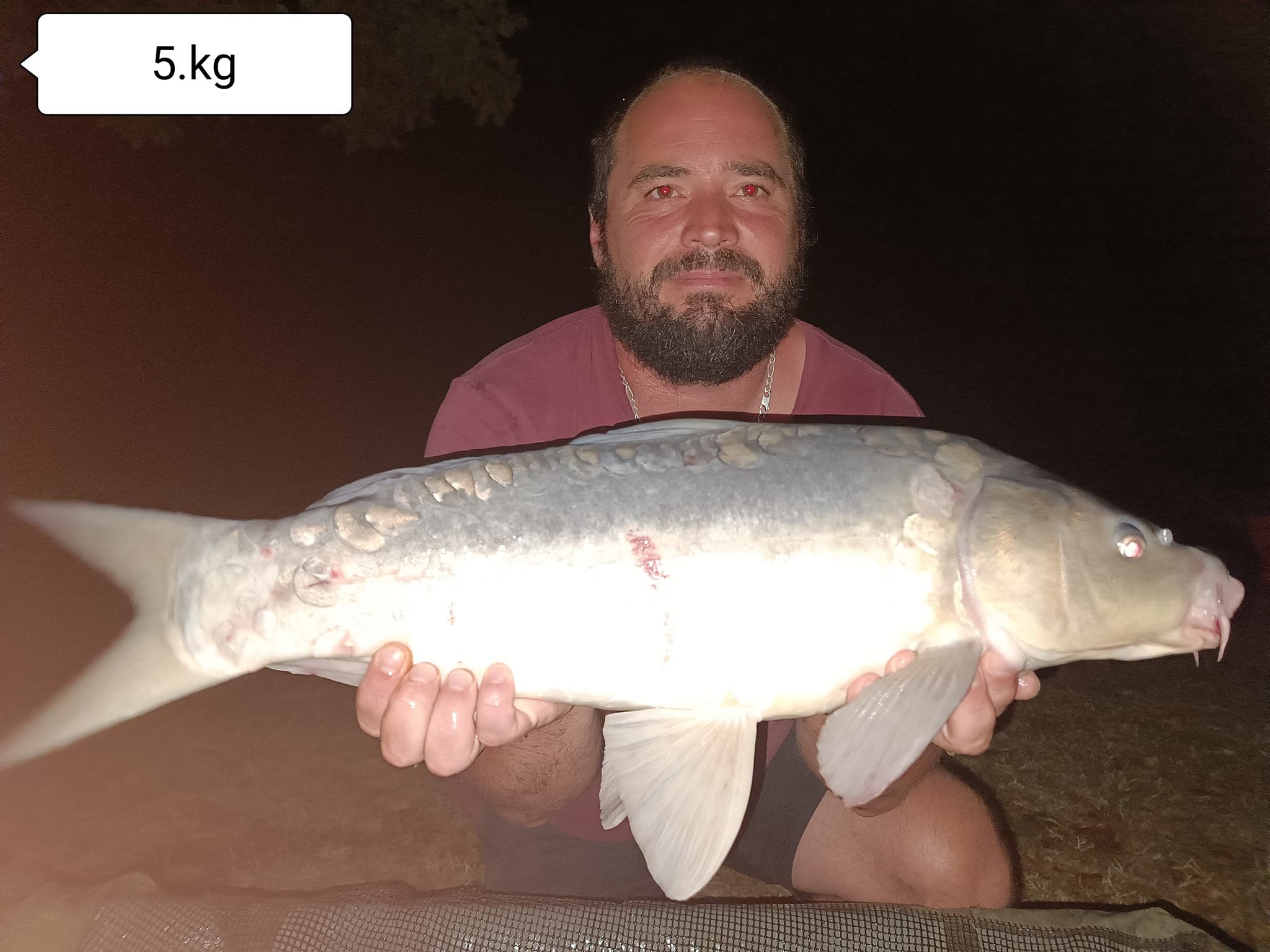 Les Amis Pêcheurs De Luzé