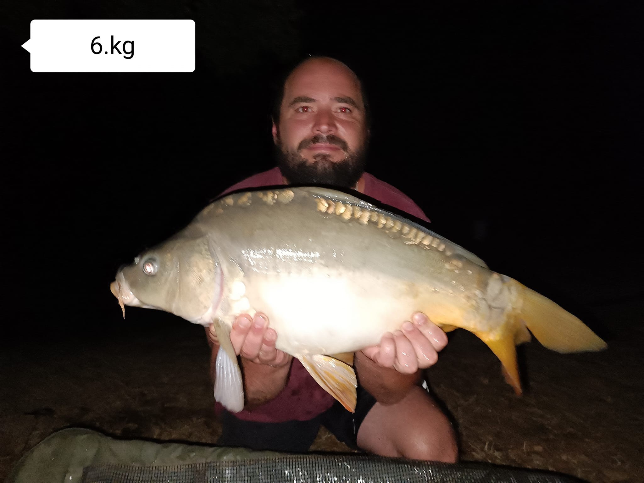 Les Amis Pêcheurs De Luzé