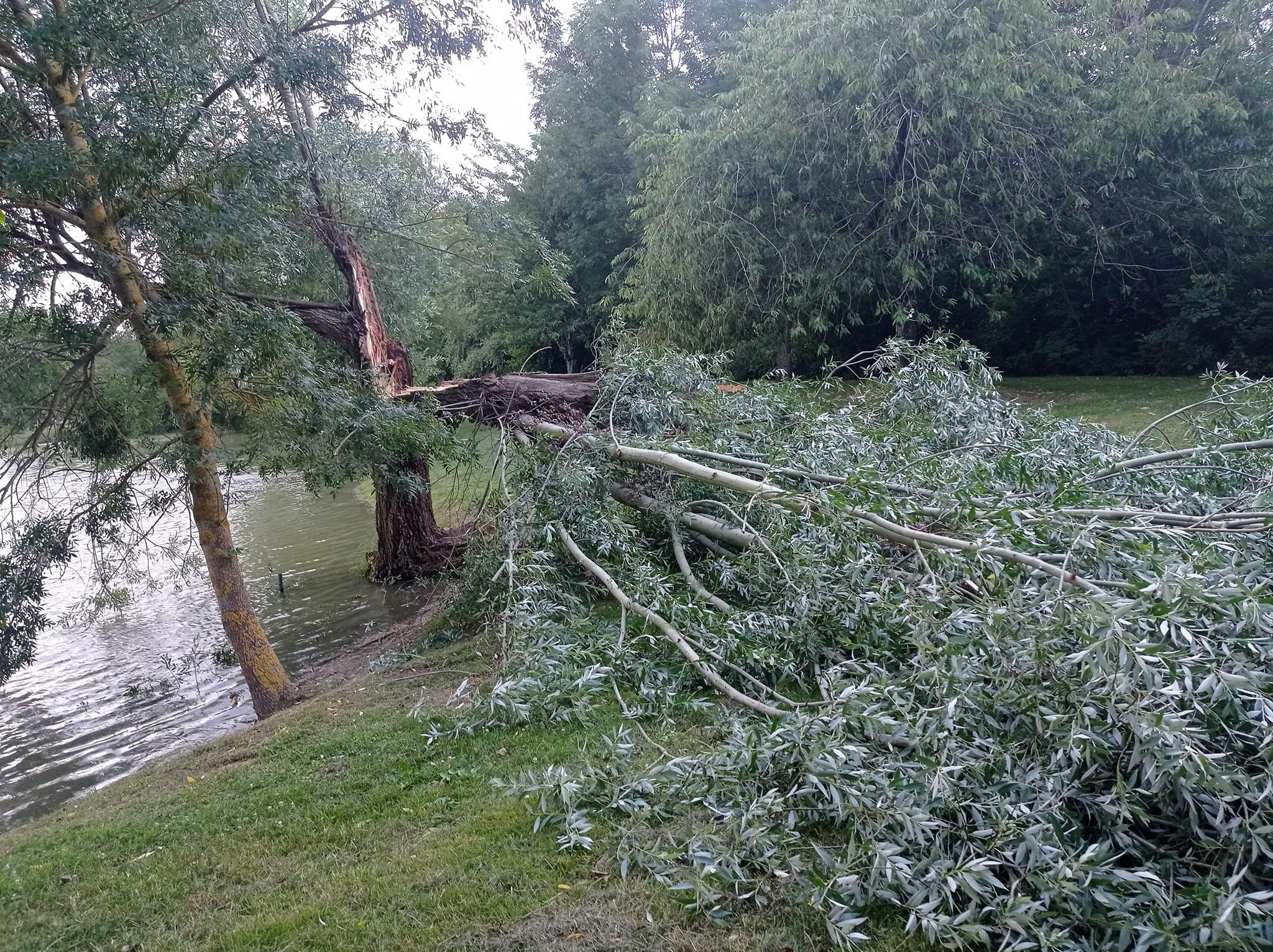 Les Amis Pêcheurs De Luzé