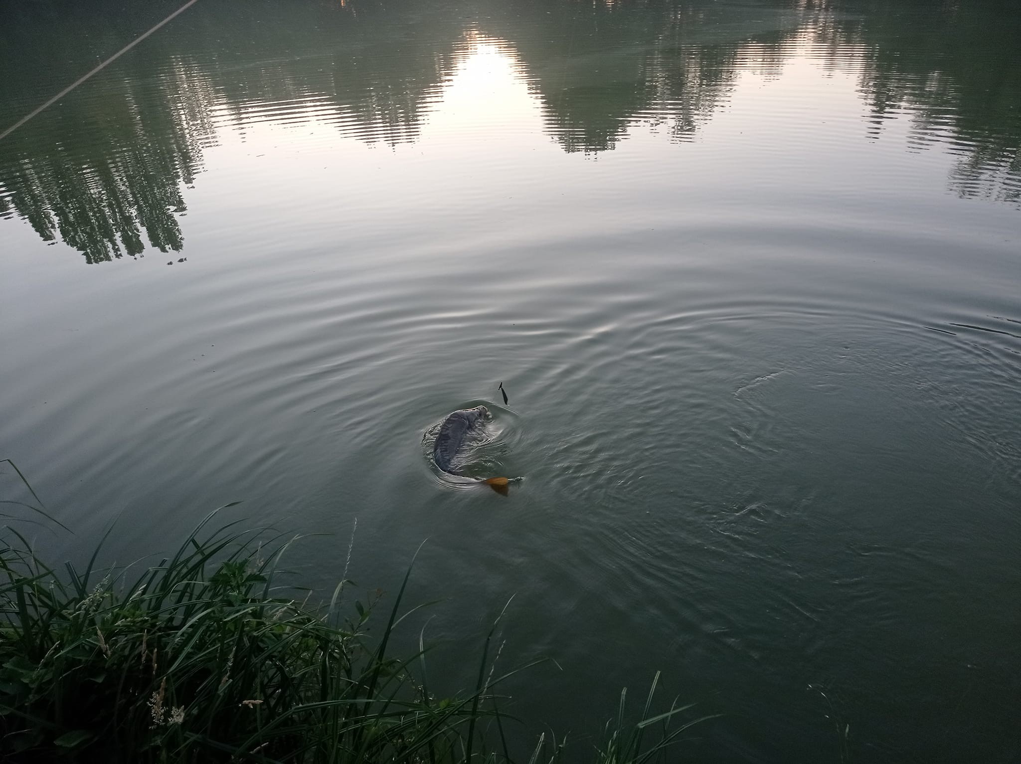 Les Amis Pêcheurs De Luzé