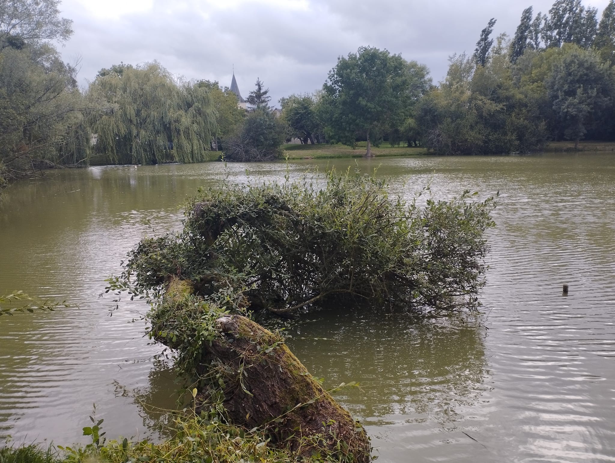 Les Amis Pêcheurs De Luzé
