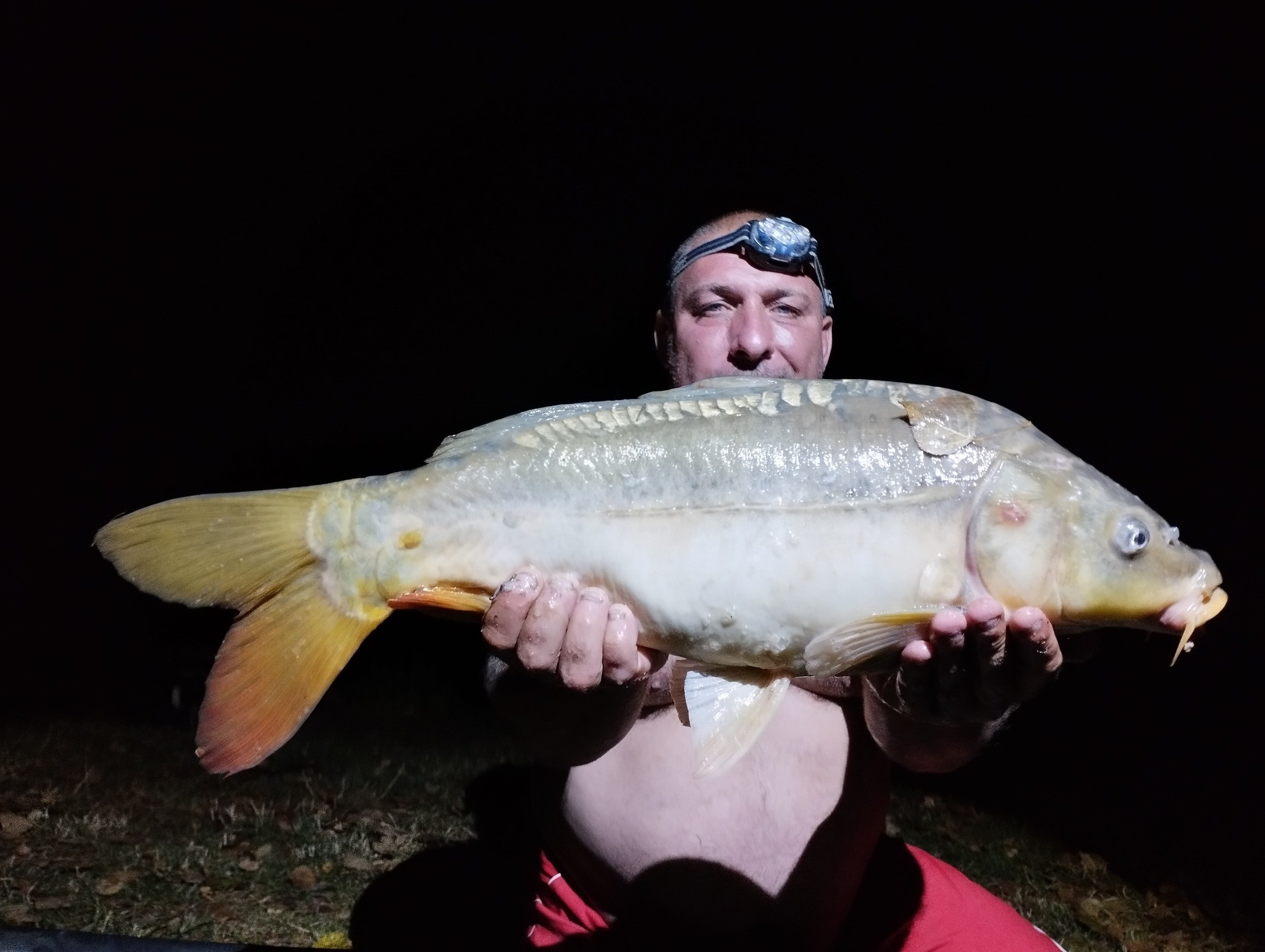 Les Amis Pêcheurs De Luzé