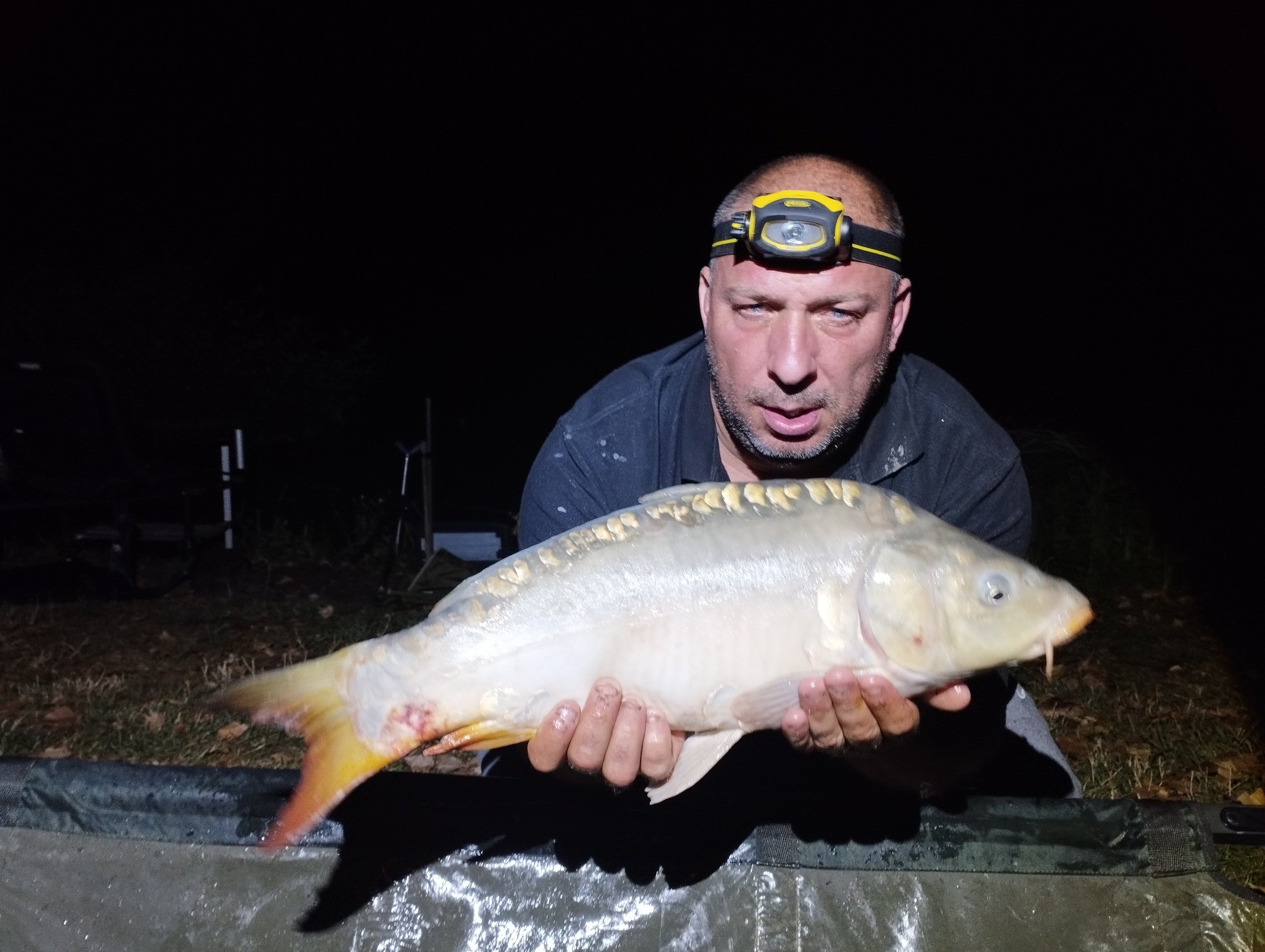 Les Amis Pêcheurs De Luzé