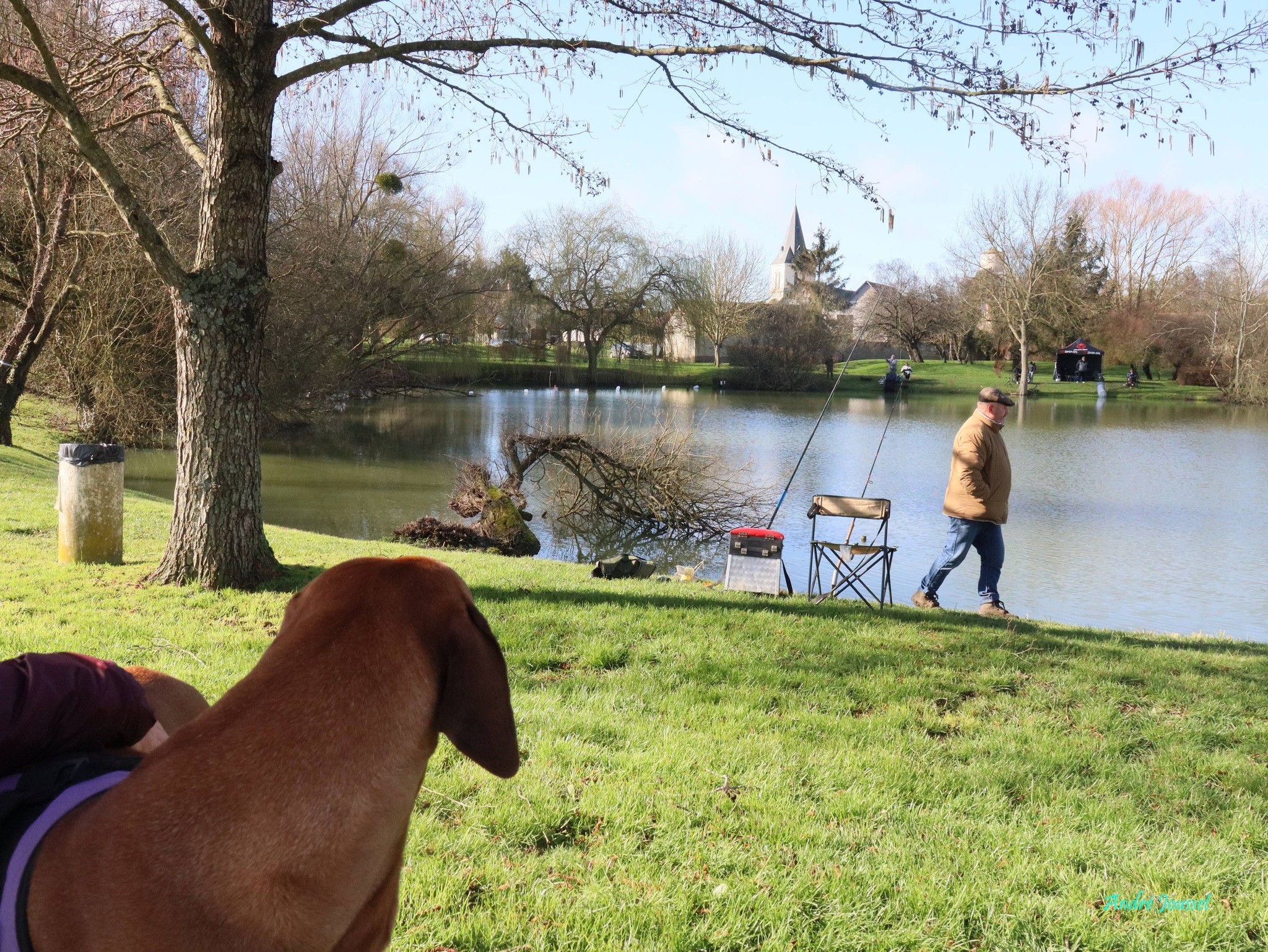 Les Amis Pêcheurs De Luzé