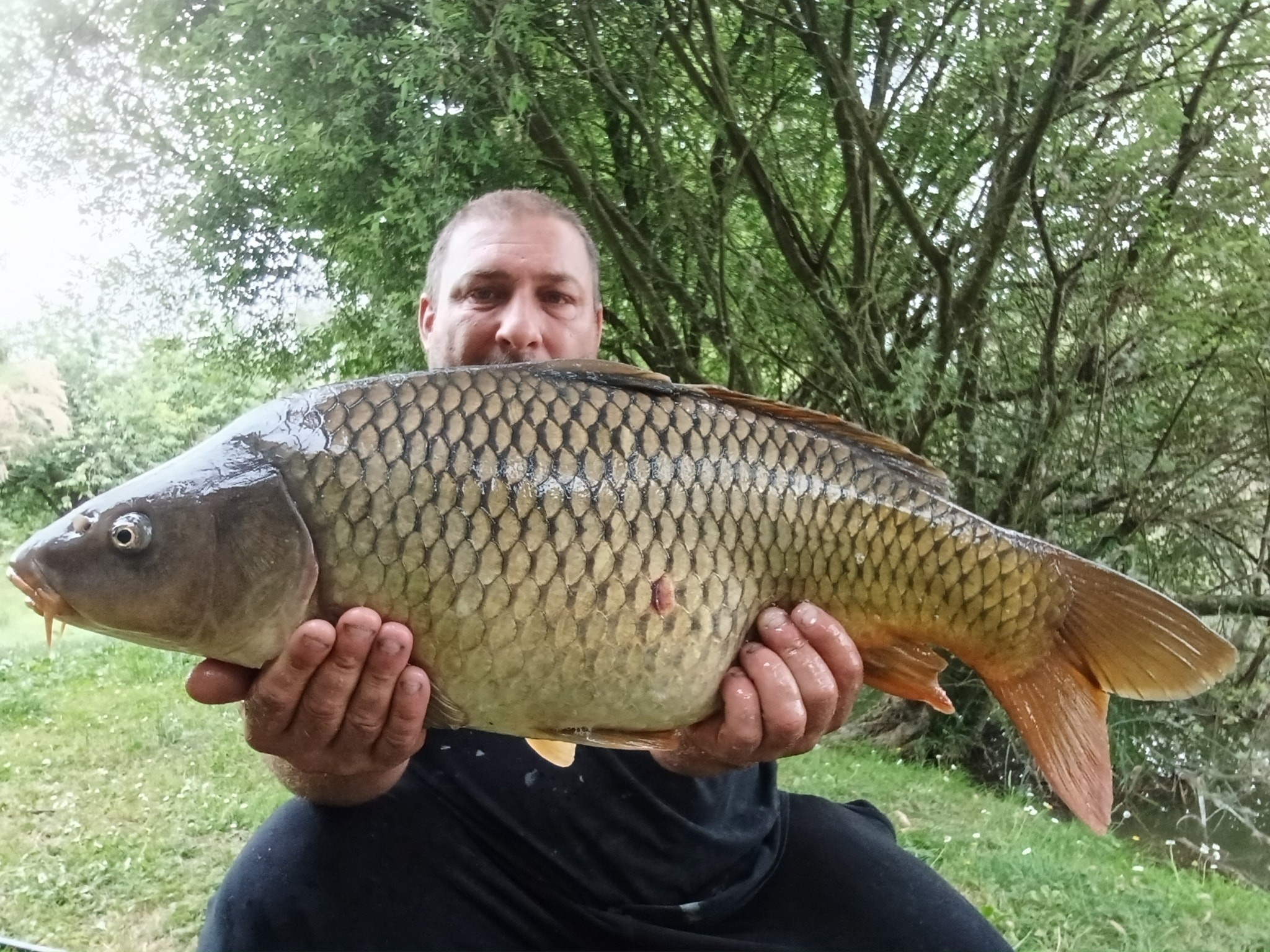 Les Amis Pêcheurs De Luzé