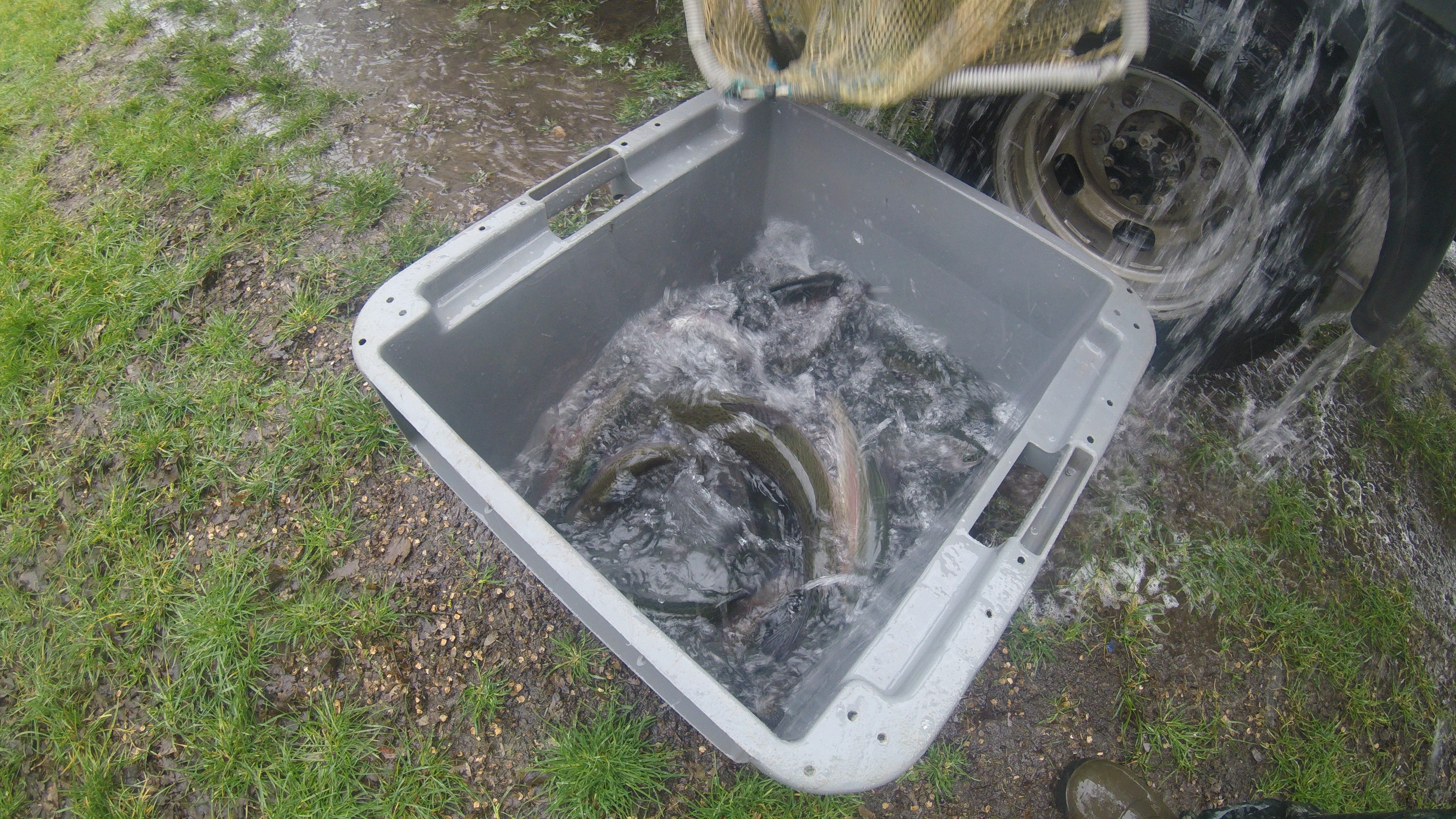 Les Amis Pêcheurs De Luzé