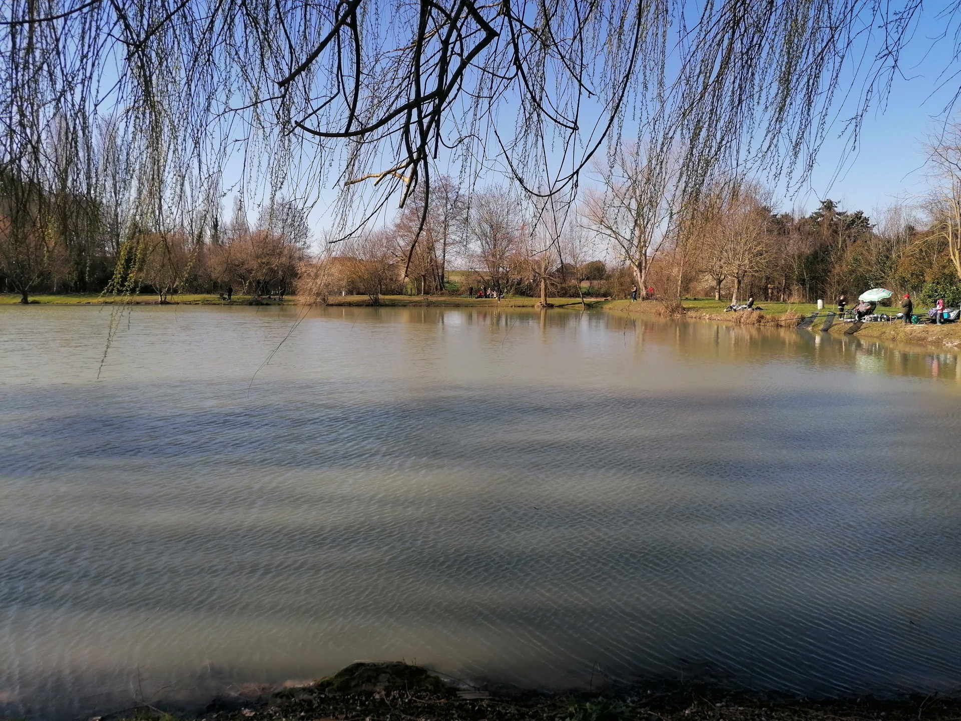 Les Amis Pêcheurs De Luzé